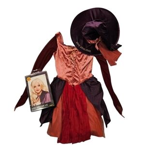 Disney Hocus Pocus Sarah Sanderson Costume Set Dress Hat Wig Spirit Halloween